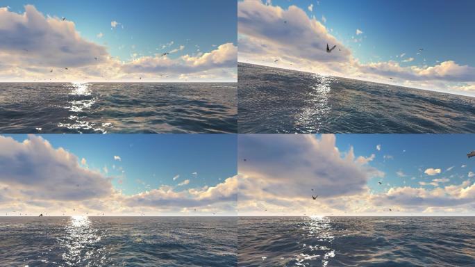 海鸥海面穿梭多镜头组合素材