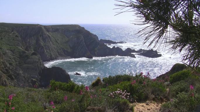 眺望大海，高耸的悬崖——一湾五颜六色的鲜花草甸；葡萄牙阿尔加维海岸海中的岩石；太阳在水中闪闪发光，天