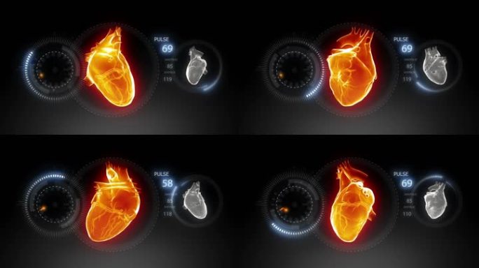 人体心脏脉搏图2