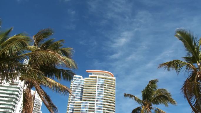 前景为棕榈树的摩天大楼的时间推移前景为棕榈树的摩天大楼的时间推移