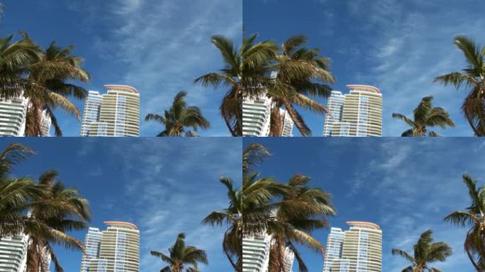 前景为棕榈树的摩天大楼的时间推移前景为棕榈树的摩天大楼的时间推移