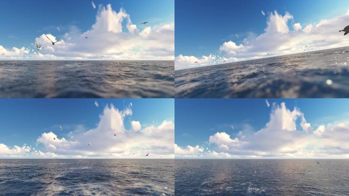 海鸥海面飞翔多镜头组合素材