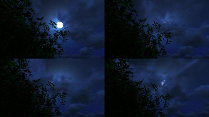 树头树枝树梢明月月亮