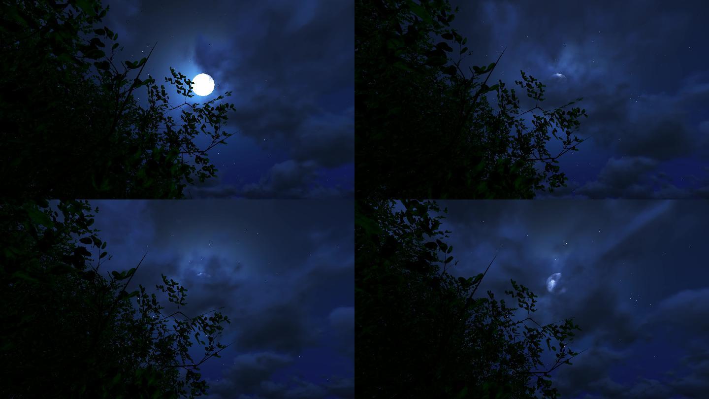 树头树枝树梢明月月亮