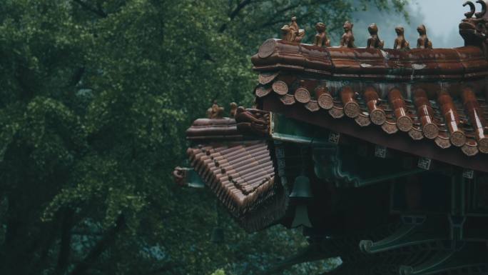 禅意雨景雨滴下落