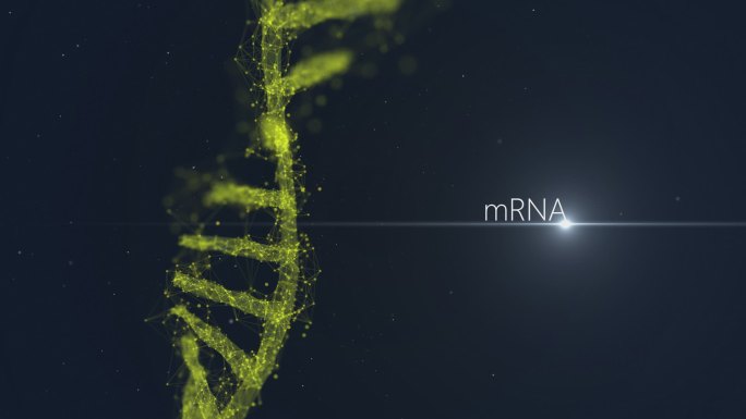 mRNA