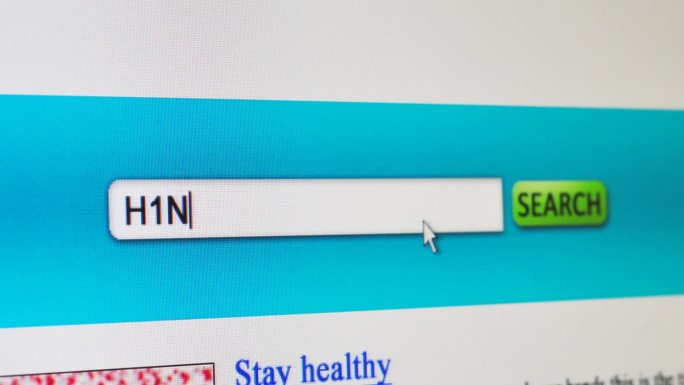 虚构的搜索引擎，显示对H1N1流感信息的搜索
