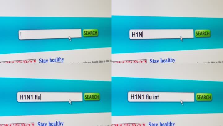 虚构的搜索引擎，显示对H1N1流感信息的搜索