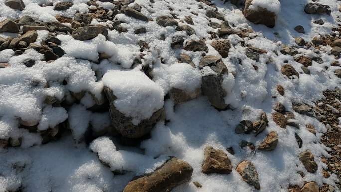 雪中卵石