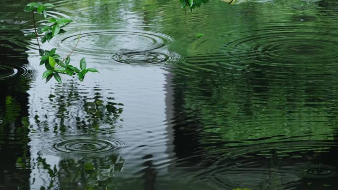 江南雨季庭院雨天雨滴空镜