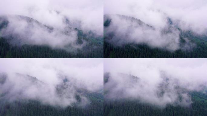 大山里的云雾缭绕
