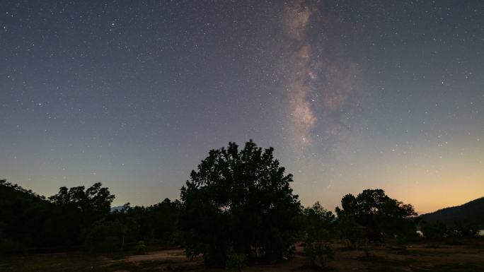 【4K超清】星空银河黑夜空镜大树延时