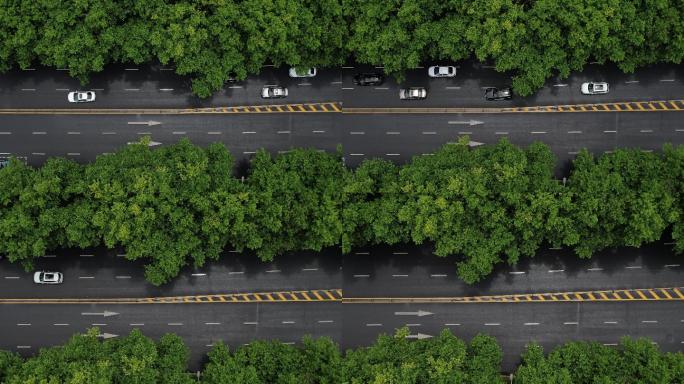 淮安雨后淮海路