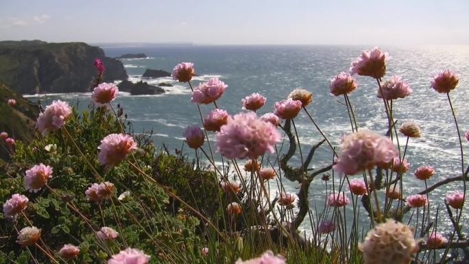 从五颜六色的鲜花草地上俯瞰大海；峭壁高耸，海中有岩石，阳光反射在水中闪闪发光；葡萄牙阿尔加维海岸；微