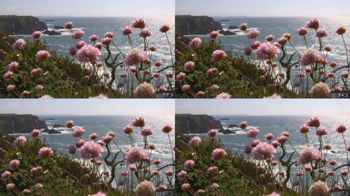 从五颜六色的鲜花草地上俯瞰大海；峭壁高耸，海中有岩石，阳光反射在水中闪闪发光；葡萄牙阿尔加维海岸；微