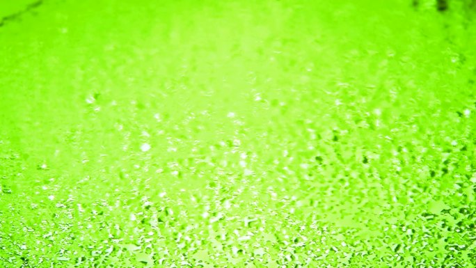 可循环出现的水滴（时间推移）。在莴苣绿色背景上