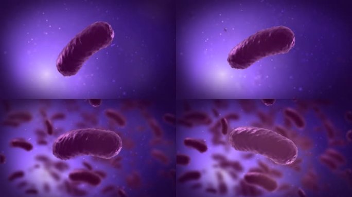特写紫色液体中细菌快速繁殖过程。