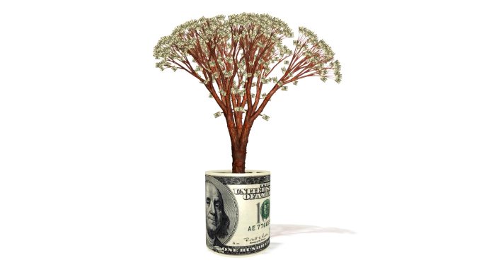 美元钞票内生长的美元树