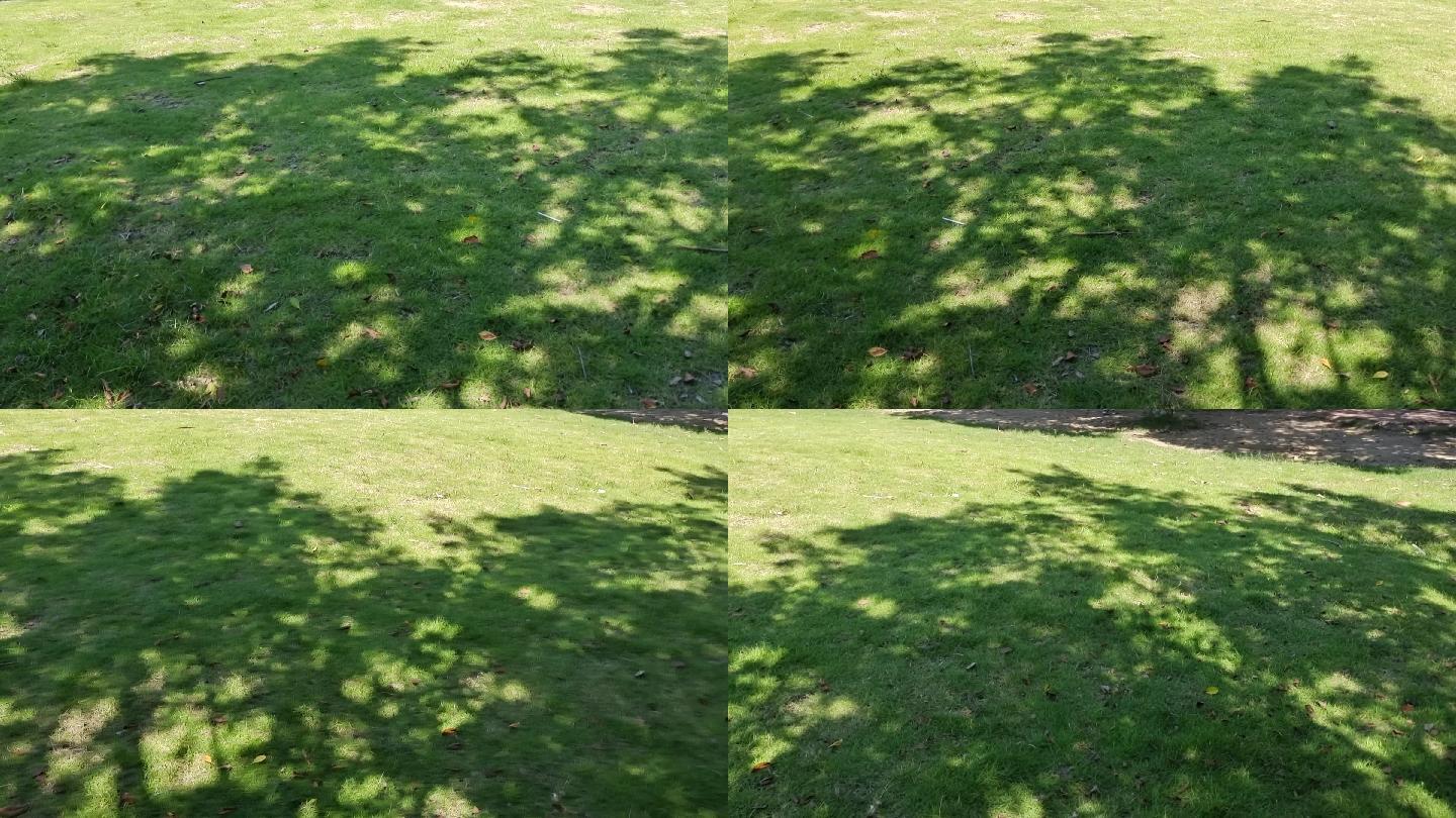 夏季阳光灿烂绿树树荫下的影子树荫树影投影