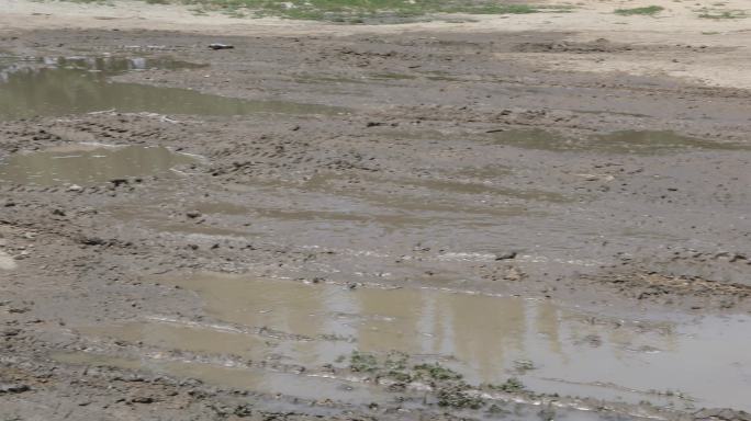 水坑道路泥泞棚户区环境