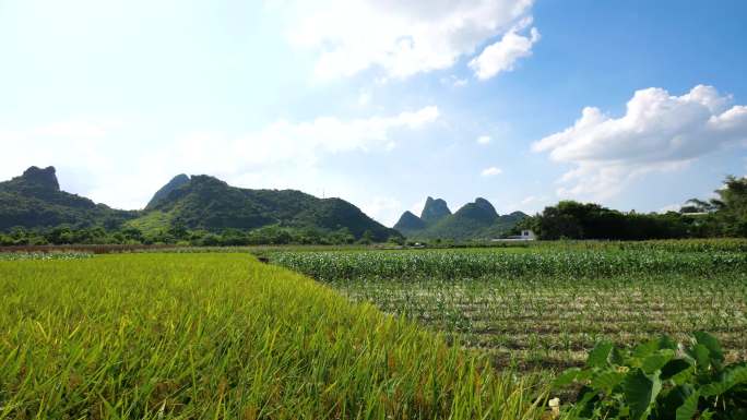 路途上的风景