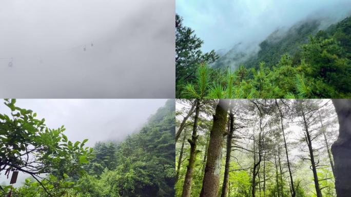 烟雾缭绕大理苍山地质公园旅游风景区