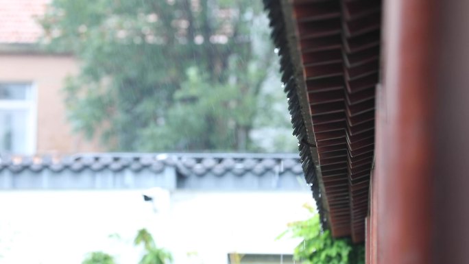 小院 下雨 民宿下雨 民宿氛围 民宿小雨