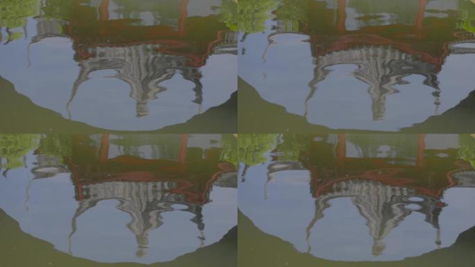 「有版权」原创墙上树木光影4K