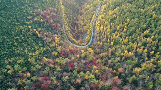 航拍大兴安岭金秋彩林山路