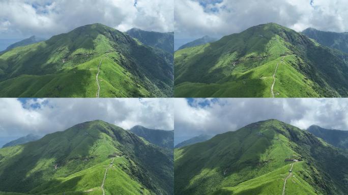 武功山夏天高山草甸