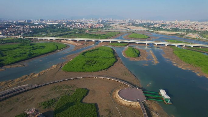 航拍厦门下潭尾湿地公园