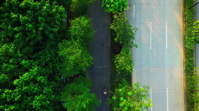 俯拍在道路中一个人骑车