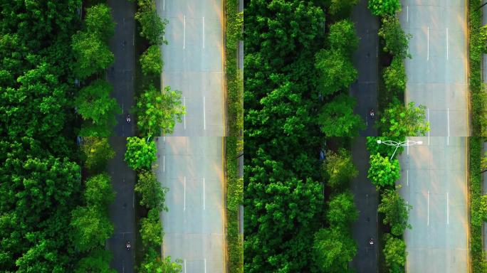 俯拍在道路中一个人骑车