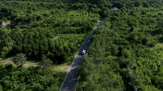 山 路 公路 林间小路