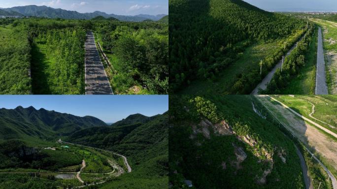 山 路 公路 林间小路