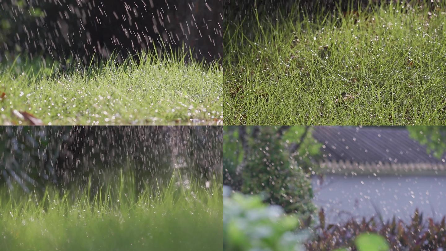 草地下雨