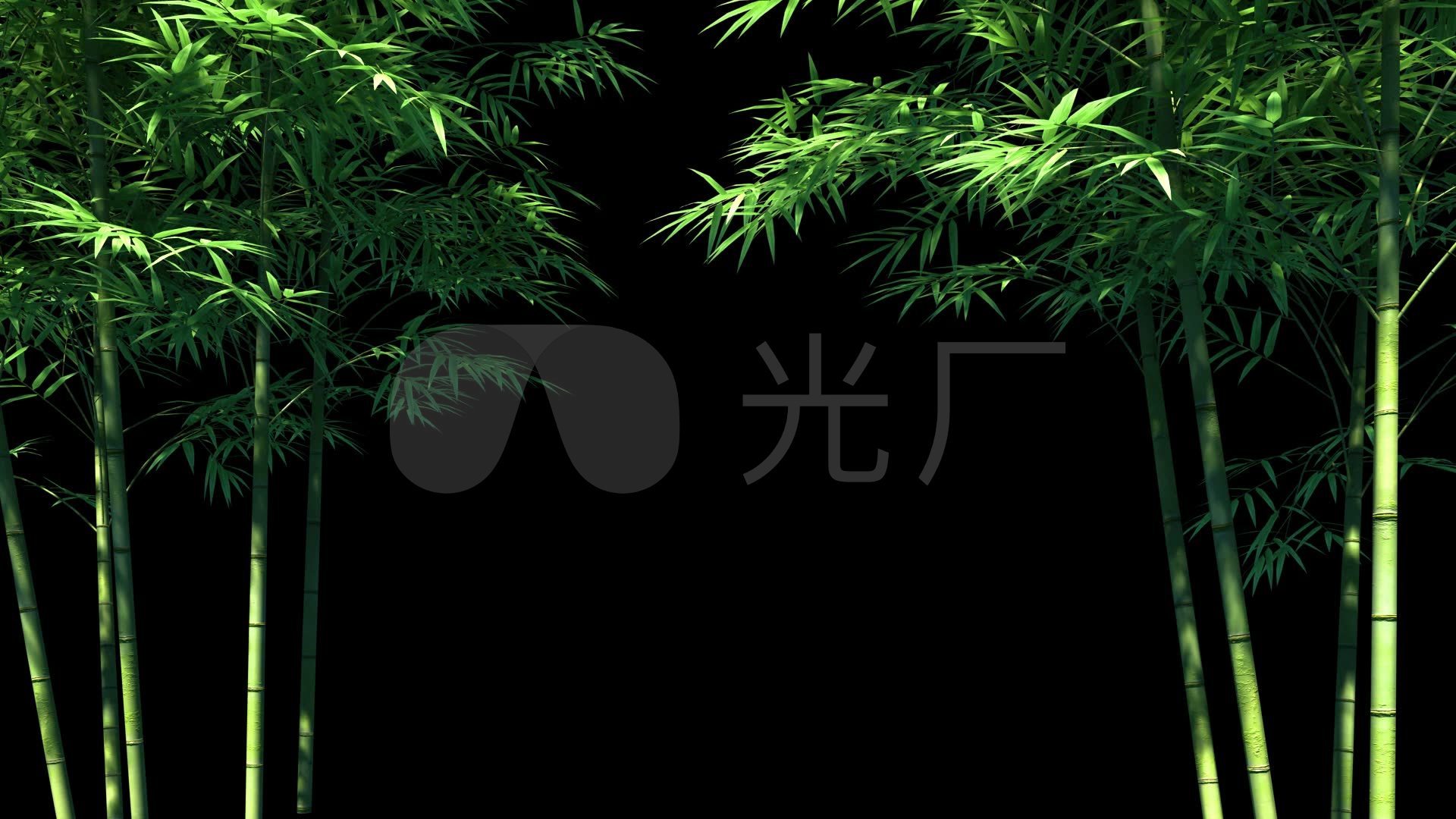 绿色水滴竹子GIF动态图竹子元素[gif]GIF下载 - 觅知网