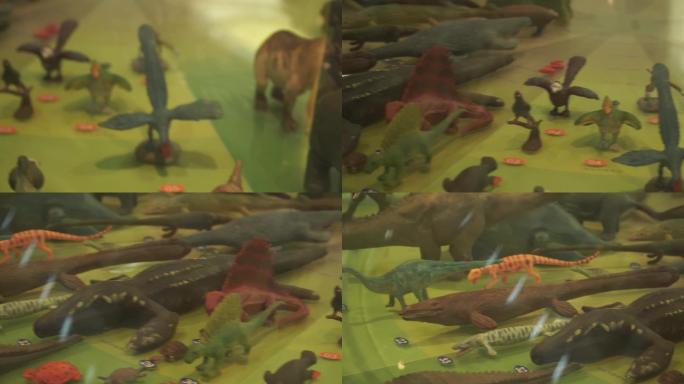 恐龙动物进化演变模型玩具