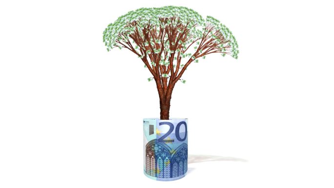 生长在欧元纸币内的欧元树