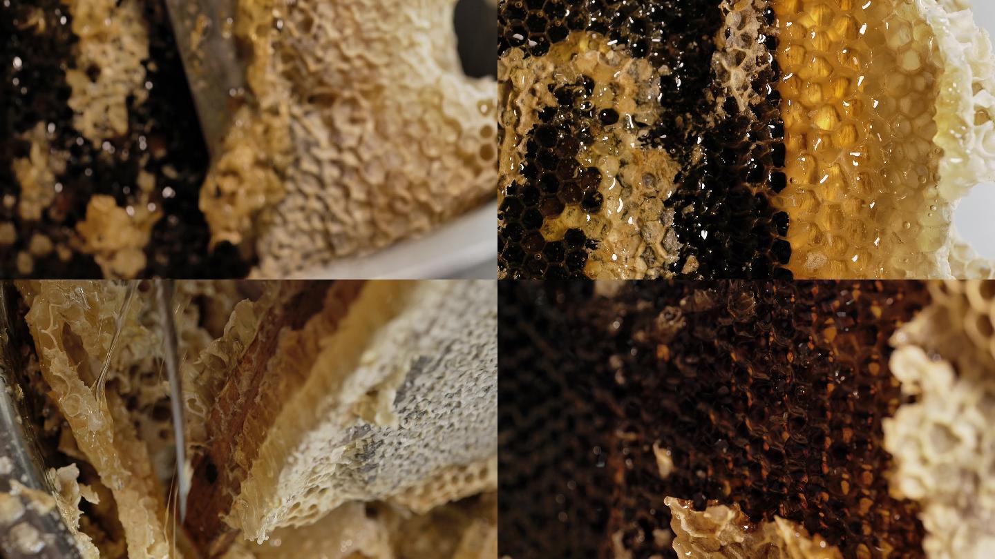 蜂巢取蜜