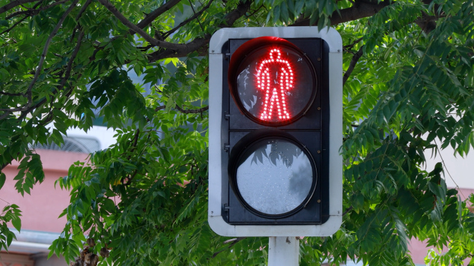 红绿灯十字路口过马路