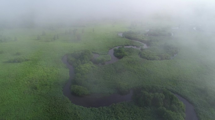 航拍晨雾迷漫的湿地曲水