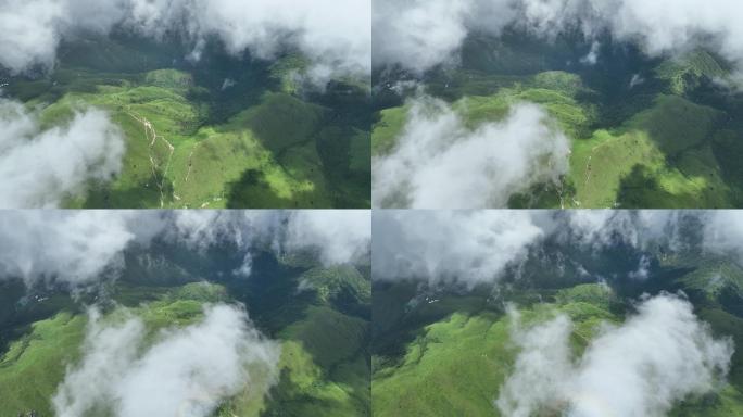 武功山夏天高山草甸云海