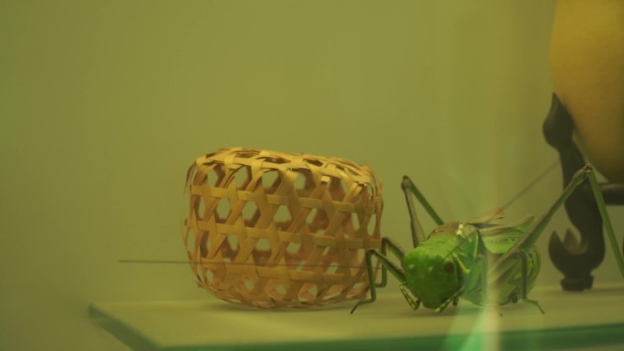 央视蟋蟀鸣虫器具蝈蝈笼