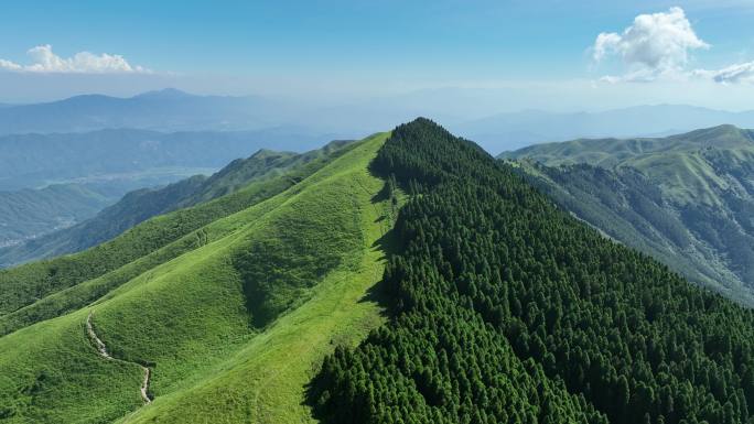 江西武功山夏天草甸