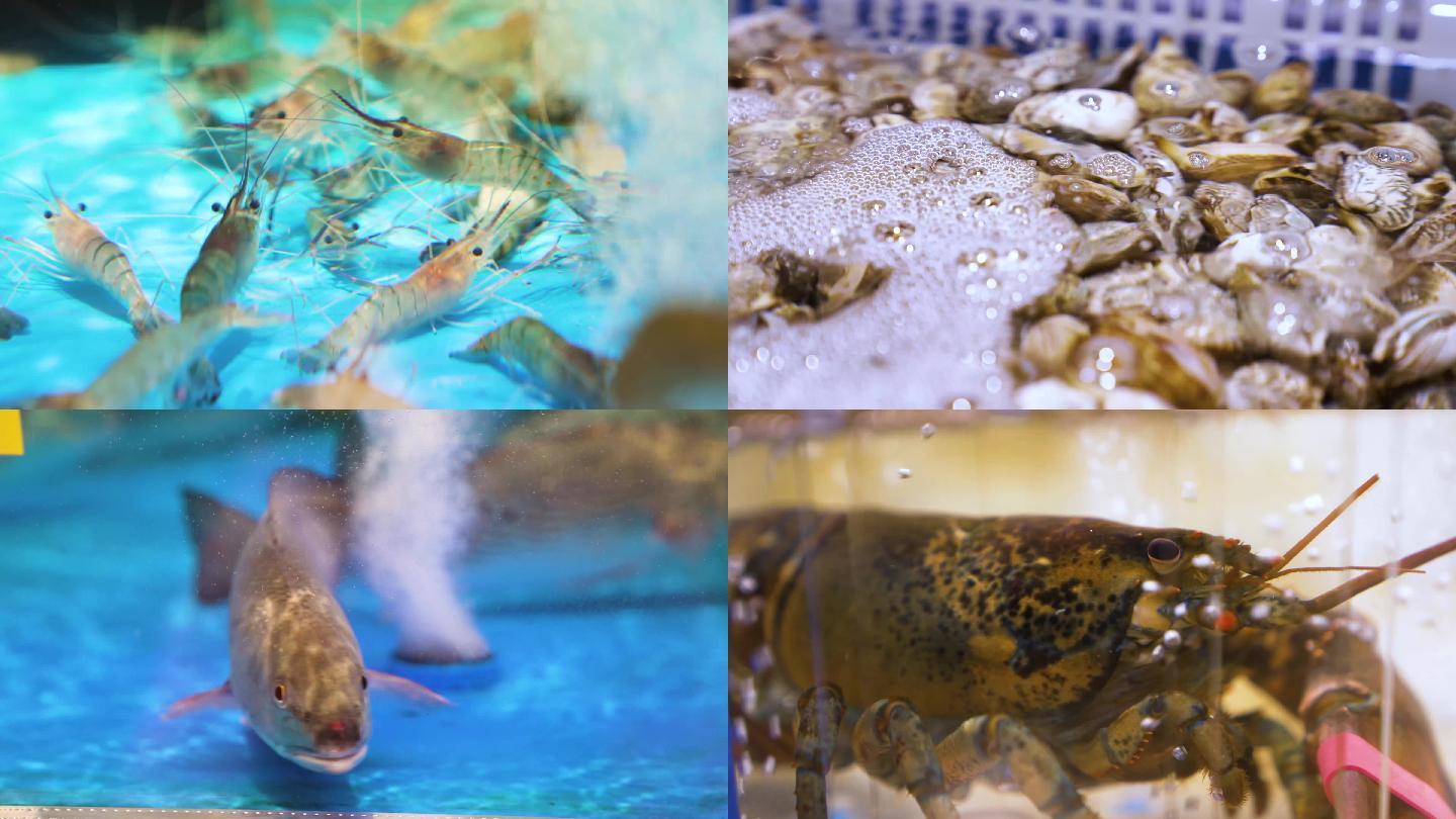 4K海鲜食材-虾-蟹-蛤蚌实拍