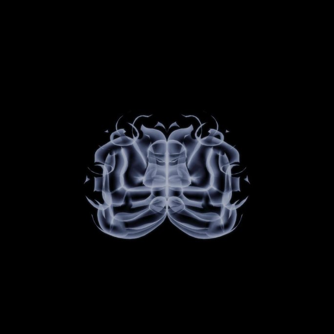 扫描大脑结构