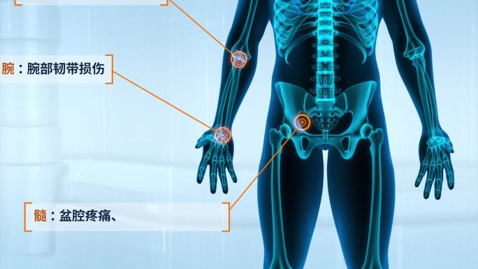 X光3D科技医疗骨骼关节演示