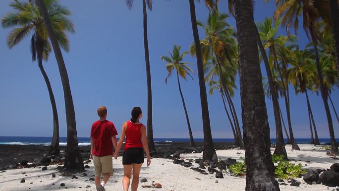 一对夫妇在夏威夷美丽的棕榈树岸边步入画面