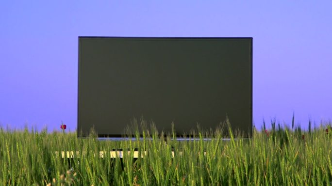 蓝天映衬下的绿色麦田平板电视